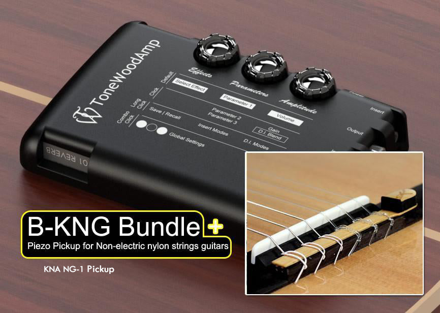Tonewood amp for shop acoustic guitar
