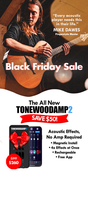 ToneWoodAmp® Acoustic Effects, No Amp Required