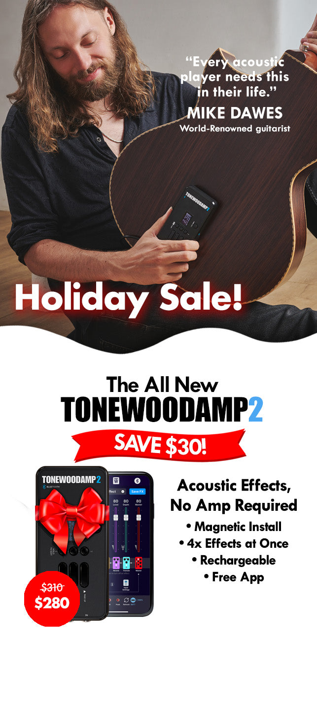 ToneWoodAmp® Acoustic Effects, No Amp Required