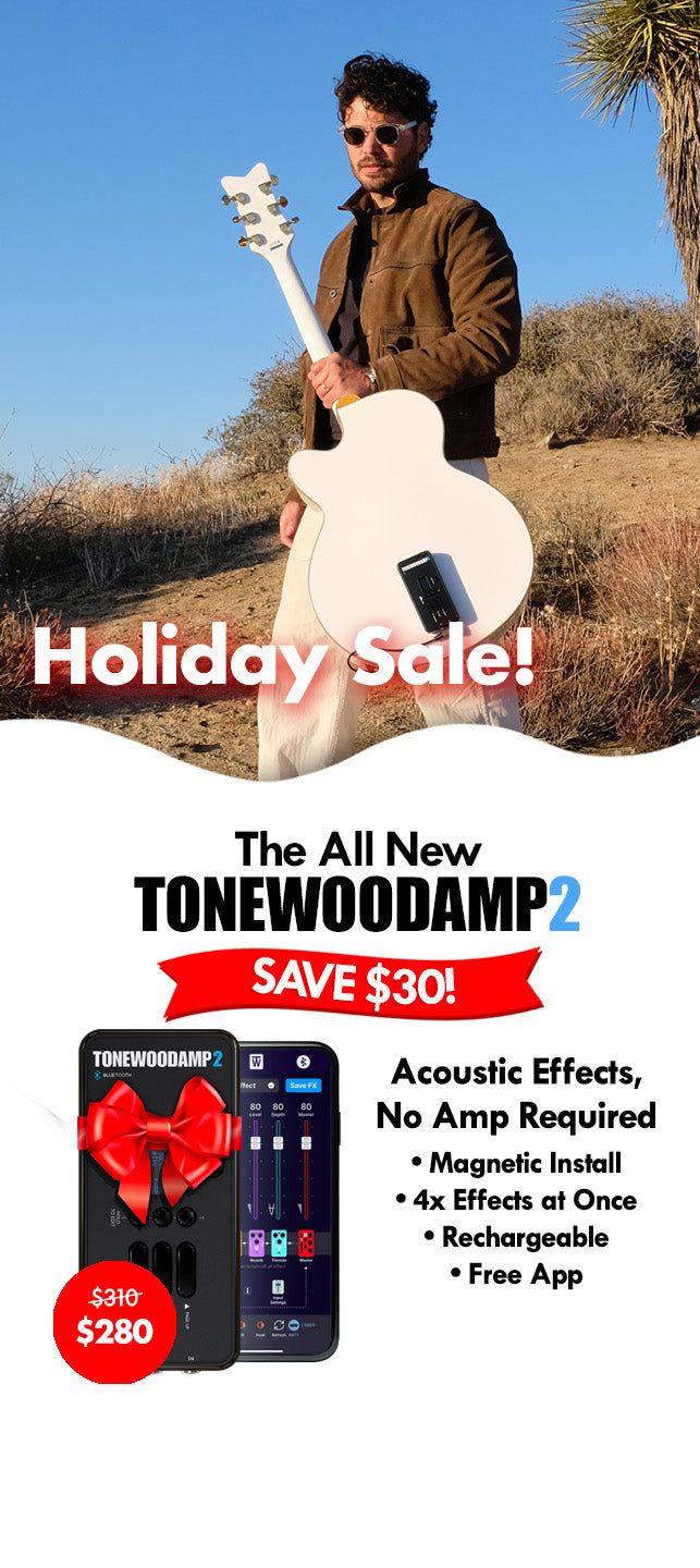 ToneWoodAmp® Acoustic Effects, No Amp Required
