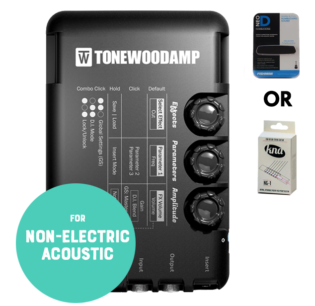 ToneWoodAmp SOLO + Pickup for Non-Electric Guitars