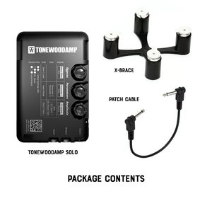 ToneWoodAmp Effect Unit for Acoustic Guitar