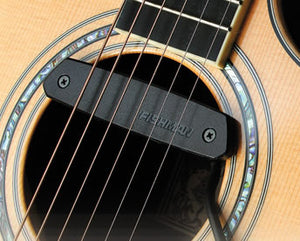 Fishman Neo-D for Steel Strings Guitars