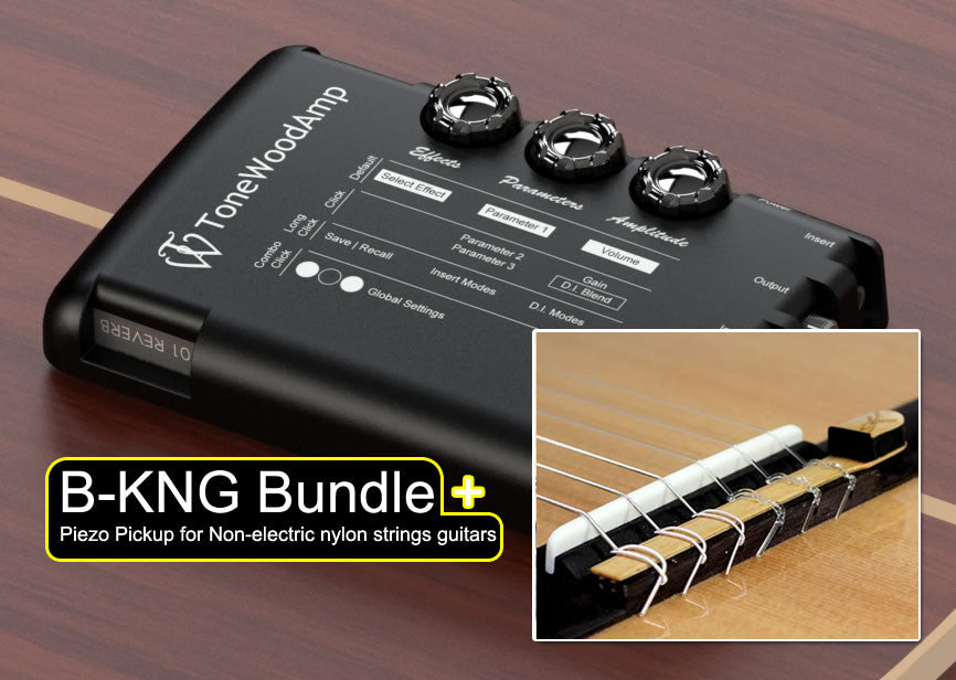 SOLO BUNDLE for Many or Any Guitars
