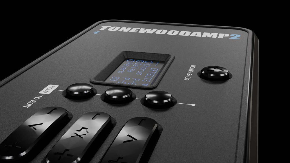 ToneWoodAmp2 close-up